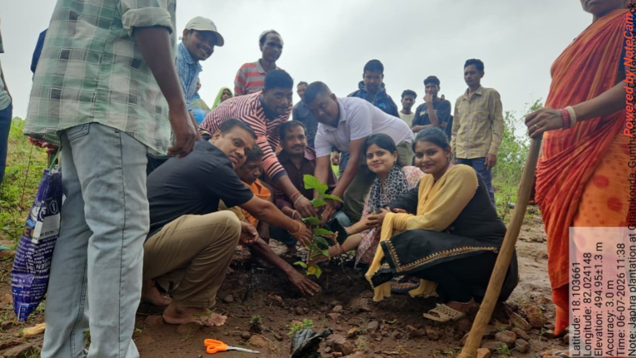 Say No To Ganja! ITDA Launches Massive Jafra Cultivation In Odisha’s Swabhiman Anchal