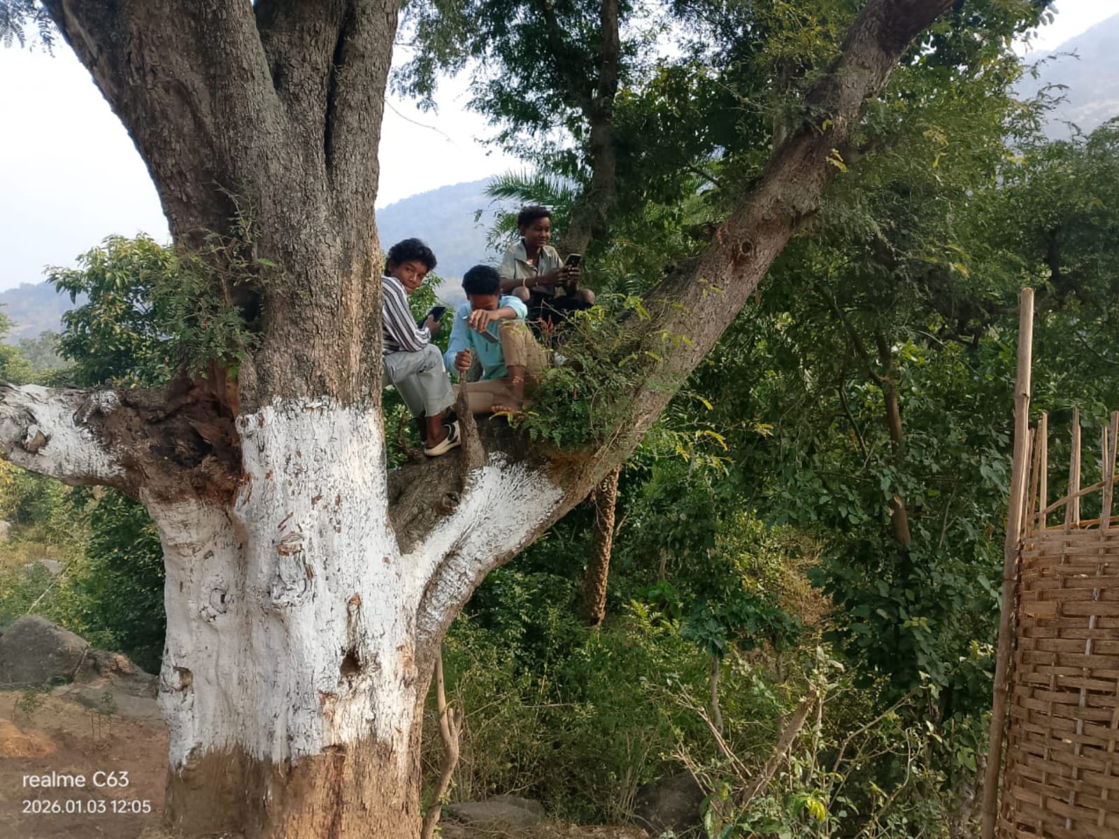 Digital Darkness: 30+ Tribal Villages In Ganjam Border Still Struggle Without Mobile Network